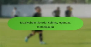 featured-image-maalivahdin-historia-kehitys-legendat-merkkipaalut